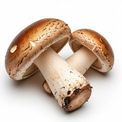 Similar image 22385334