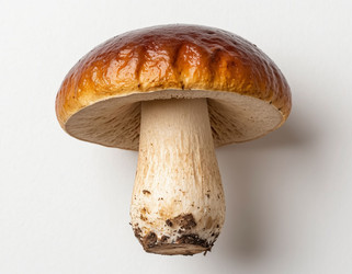 Similar image 22384319