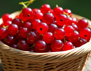 Similar image 22384696