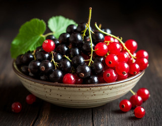 Similar image 22384891