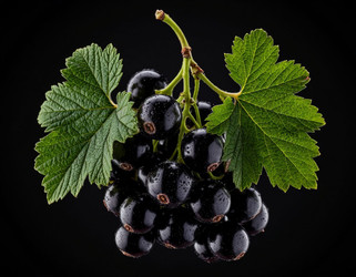 Similar image 22385591