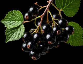 Similar image 22385651