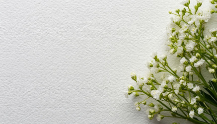 Similar image 22385291