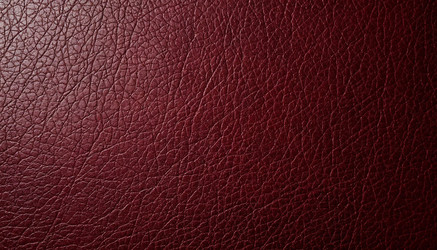 Similar image 22384279