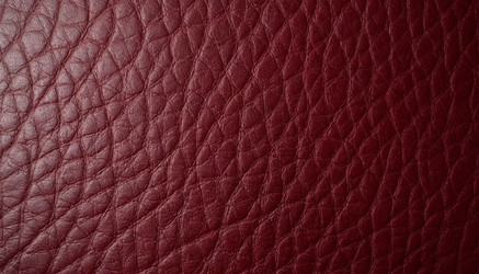 Similar image 22384336