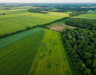 Similar image 22384394