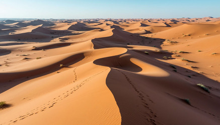 Similar image 22384454