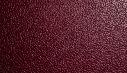 Similar image 22384516