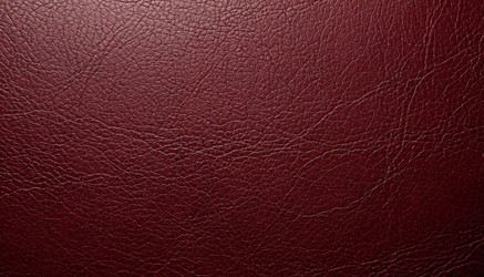 Similar image 22384579