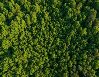 Similar image 22384640