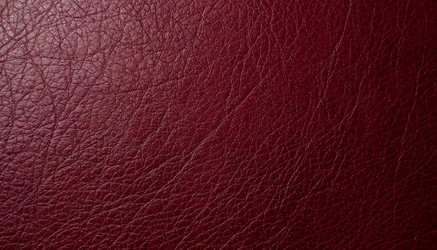 Similar image 22384773