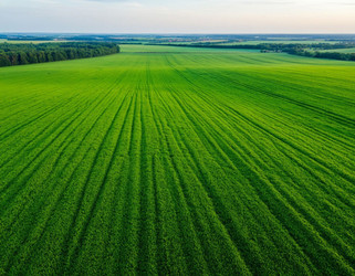 Similar image 22384906