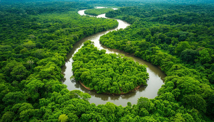 Similar image 22384970