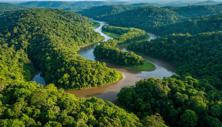 Similar image 22385103