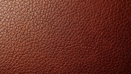 Similar image 22385162