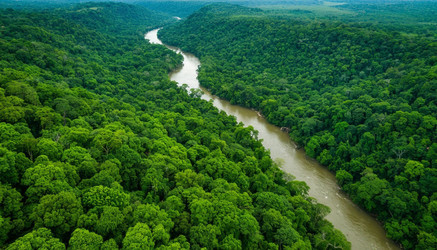 Similar image 22385230