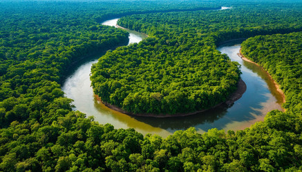 Similar image 22385355