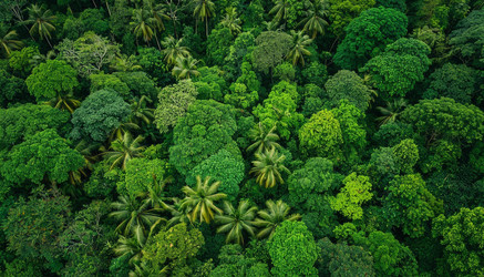 Similar image 22385475