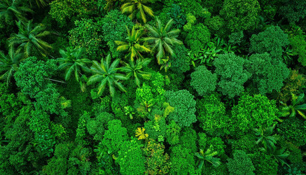 Similar image 22385603