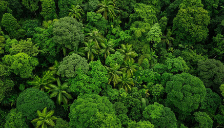 Similar image 22385730