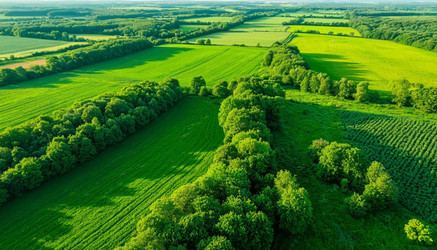 Similar image 22385731