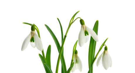 Similar image 22385416