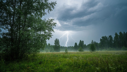 Similar image 22384117