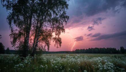 Similar image 22384583