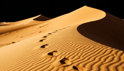 Similar image 22384652