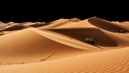 Similar image 22384716