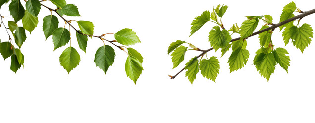 Similar image 22381084