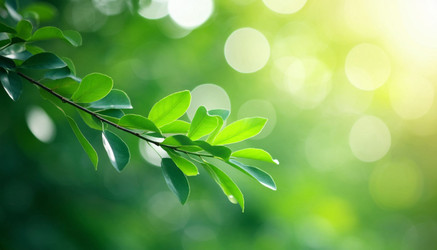 Similar image 22381246