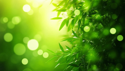 Similar image 22384060