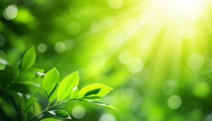 Similar image 22384286