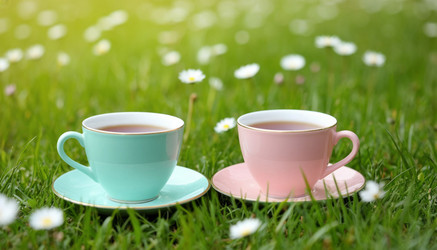 Similar image 22385483