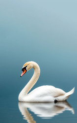 Similar image 22384593