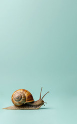 Similar image 22384852