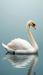 Similar image 22385116