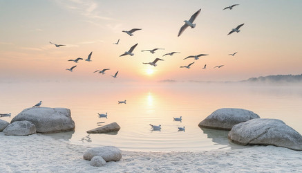 Similar image 22381416