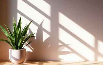 Similar image 22384468