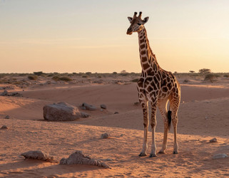 Similar image 22385743