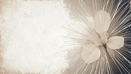 Similar image 22385129