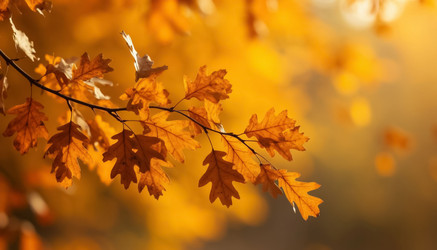 Similar image 22384804