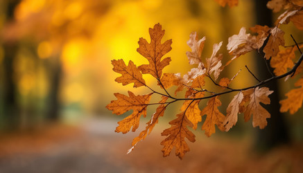 Similar image 22384864