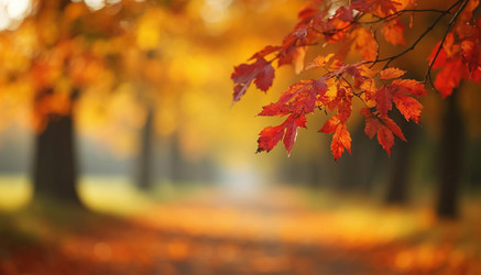 Similar image 22384999