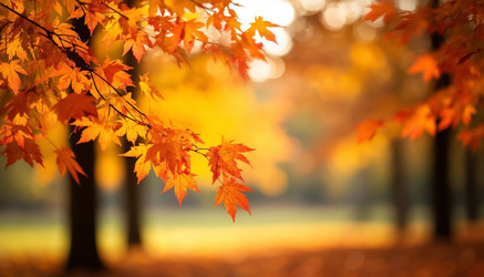 Similar image 22385072