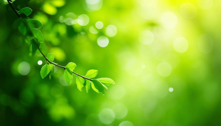 Similar image 22385189