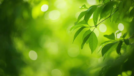 Similar image 22385264