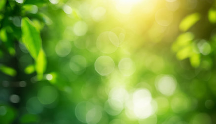 Similar image 22385327