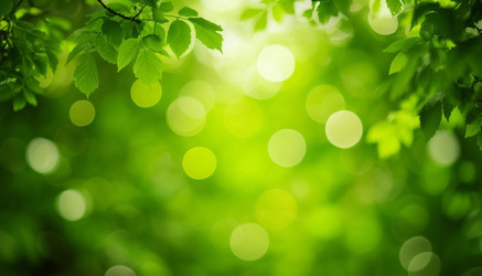 Similar image 22385387